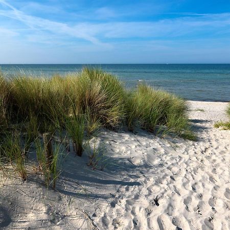 Haus Suedwester Hummer Insel Poel Eksteriør bilde